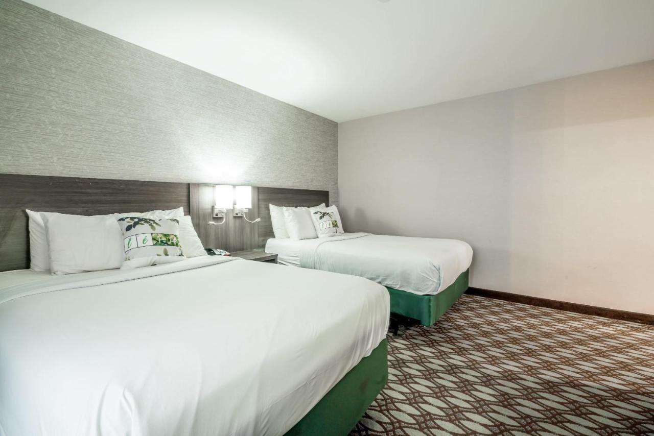 Letap Hotel Near Airtrain Jfk Airport New York Buitenkant foto
